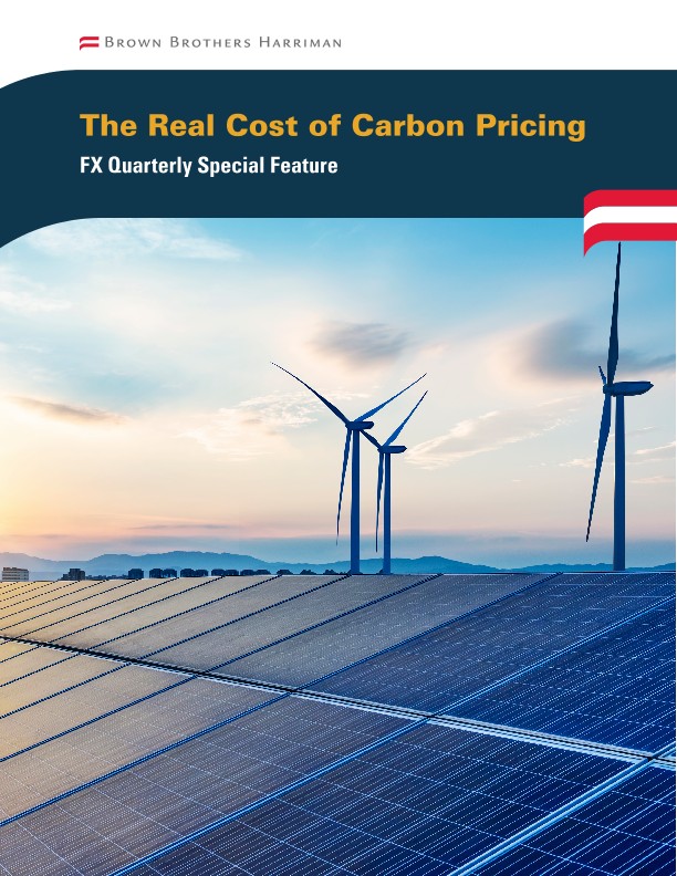 The Real Cost of Carbon Pricing