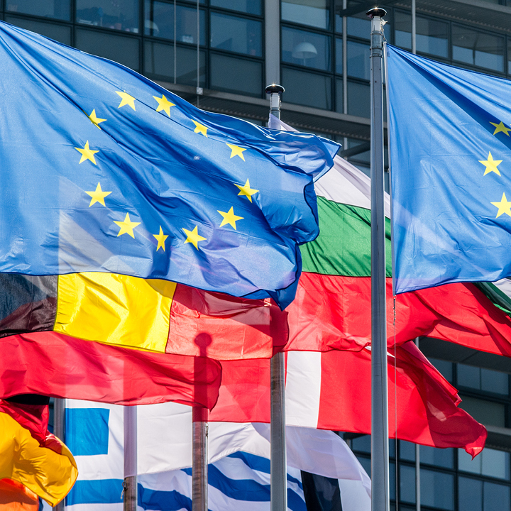 European Union Flags in Strasbourg