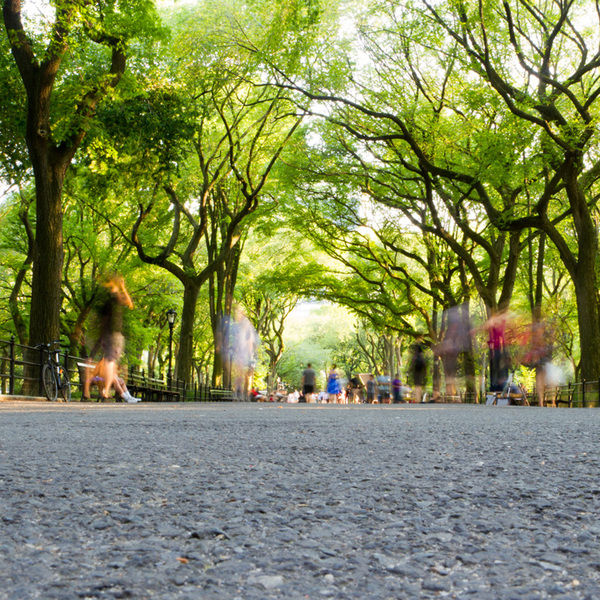 Blurry People Walking in Central Park