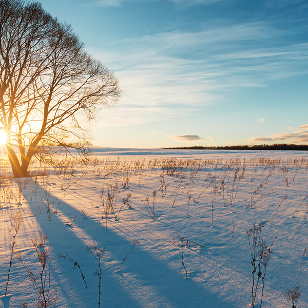 Winter landscape 