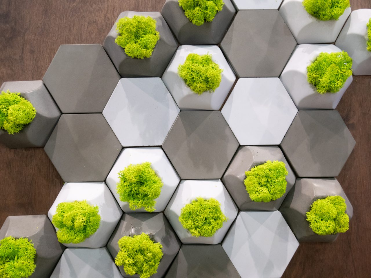Geometric Pattern on Wall Art Made of Hexagons and Plants